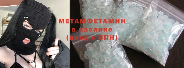 прущие грибы Магас