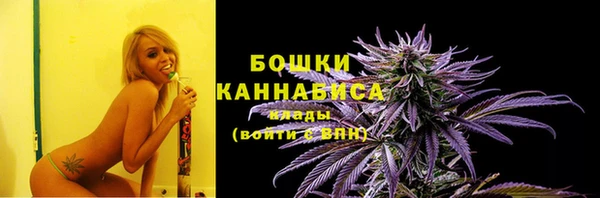 прущие грибы Магас