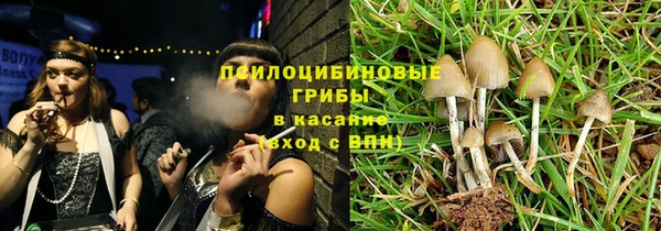 прущие грибы Магас
