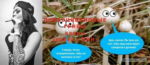 прущие грибы Магас