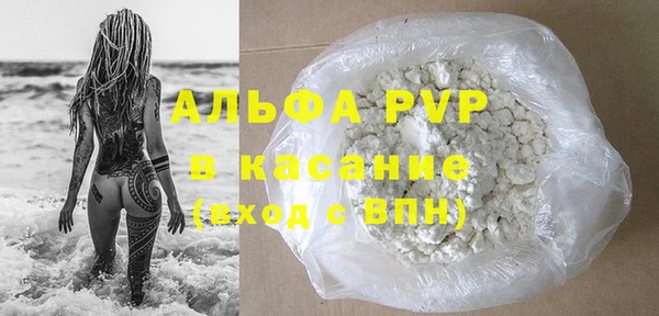 прущие грибы Магас