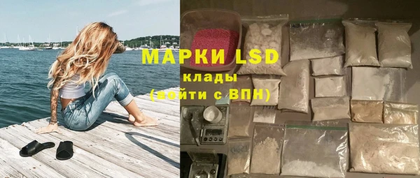 прущие грибы Магас