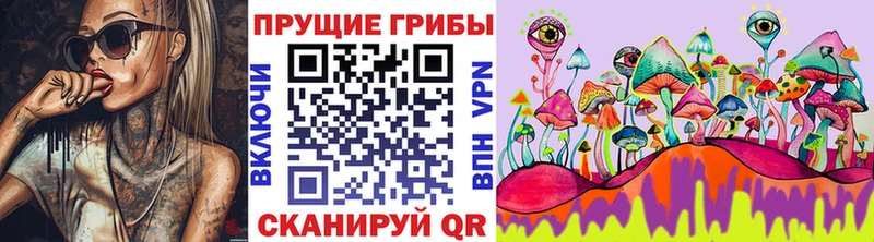 Псилоцибиновые грибы ЛСД  дарнет шоп  mega маркетплейс  Орёл 